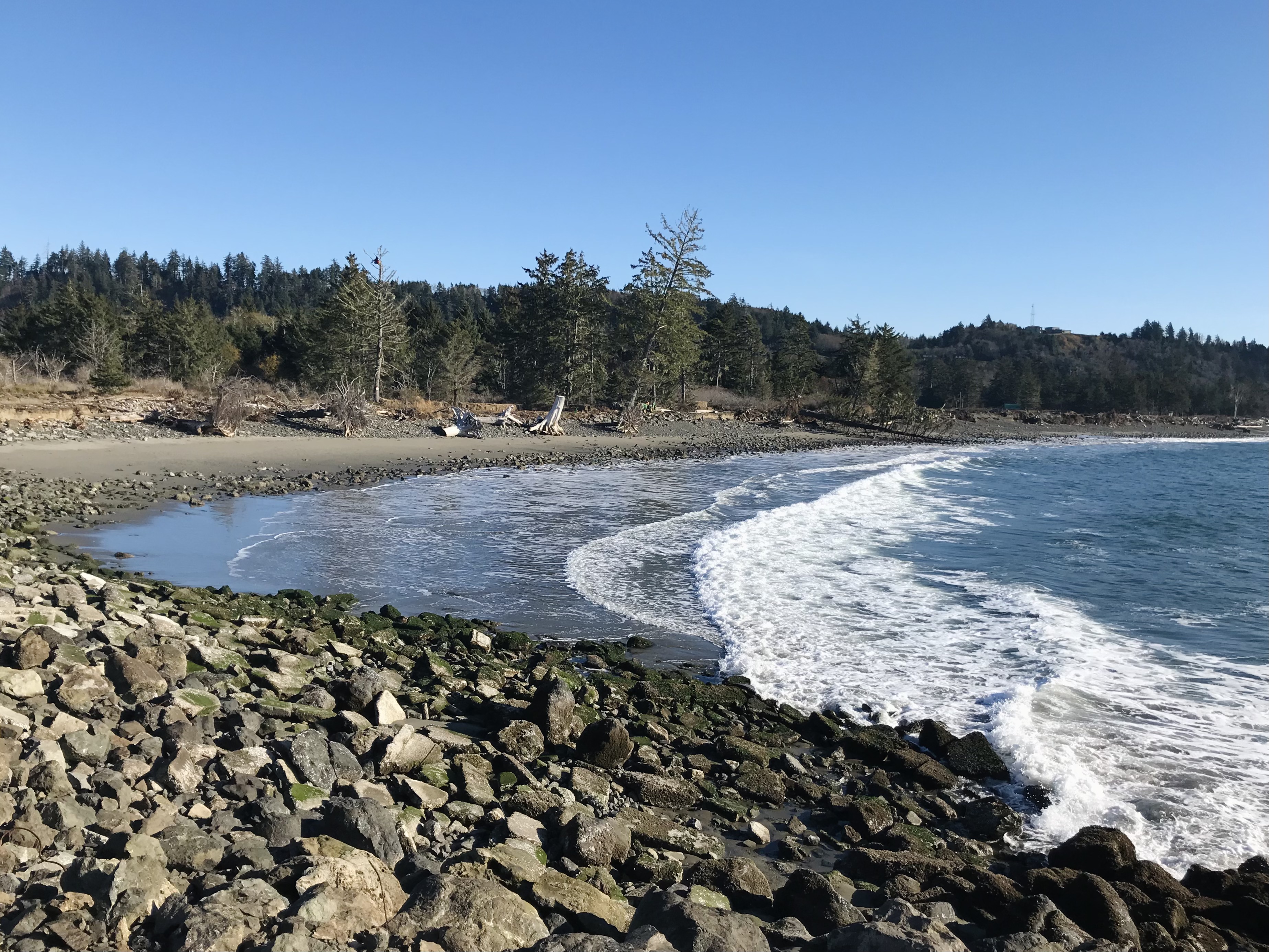 Beach with rushing waves breaking on the rocks and logs protecting the shoreline.